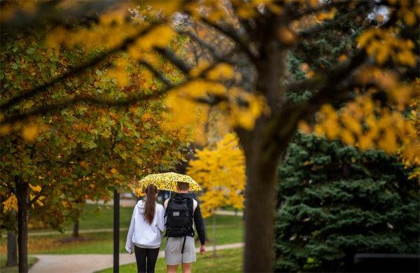 两个大学生共用一把黄伞，走在变黄的树叶中.  